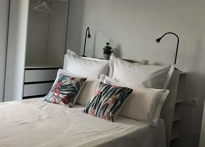 Daire Os Amorodos Poio